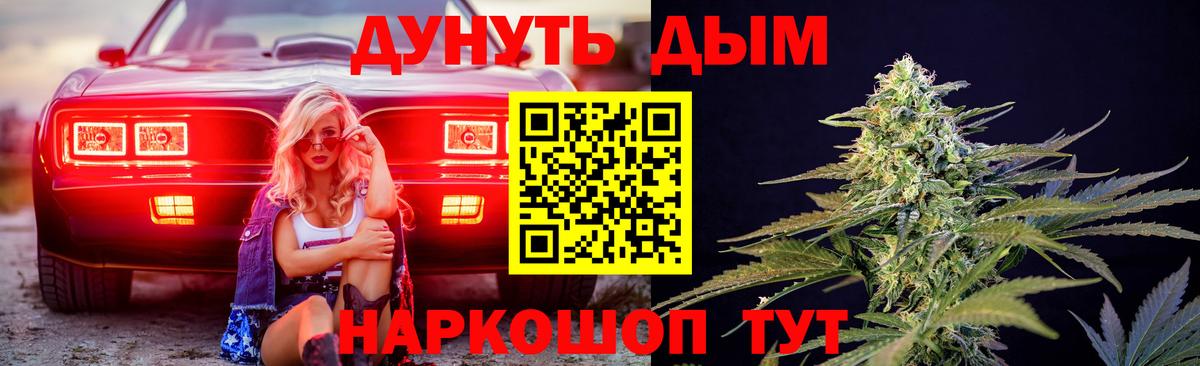 Каннабис сатива Кандалакша